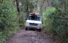 Valle-02306